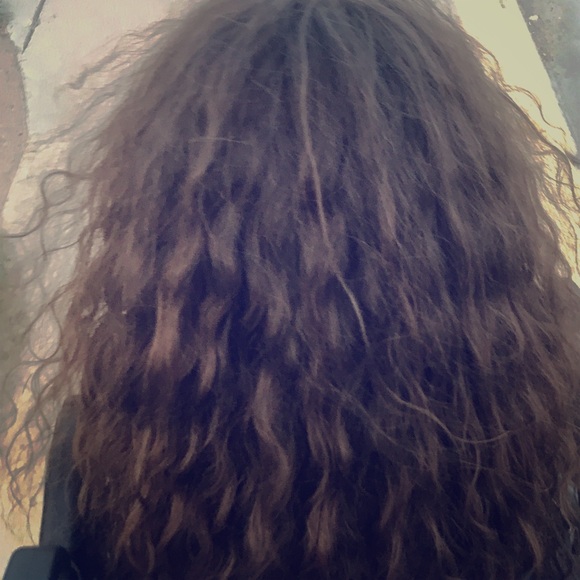 Meet your Posher, Reyna - Picture 1 of 1